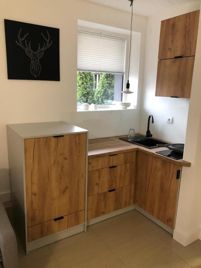 שצ'צ'ירק Apartament Beskidski מראה חיצוני תמונה